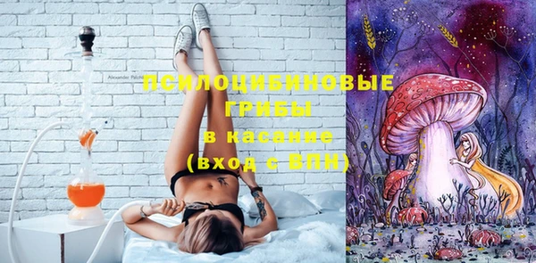 прущие грибы Киреевск