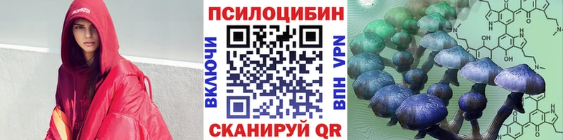 Купить закладки  Бахчисарай  Псилоцибиновые грибы Psilocybe 